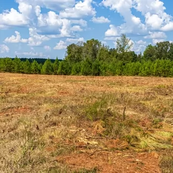 76+/- acres - Chester Co - PT-09