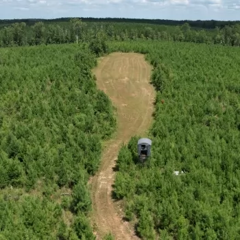 135 acres - Macon County - Bell Quarters Tract