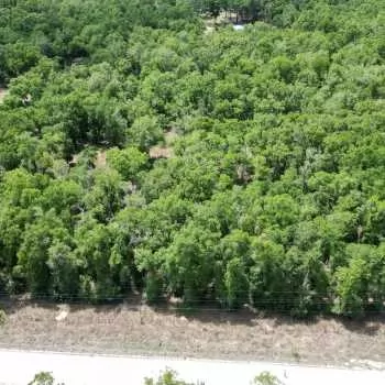 5 +/- Acres - Gilchrist County - Bell Homesite Tract