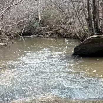 216 +/- ac - Chilton County, AL - County Road 479