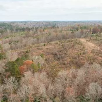 242.8 +/- Acres - Walker County - King Tract 2