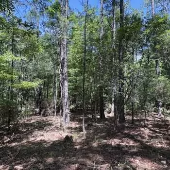 24 acres - Lee County - LHP LLLP 24 east of powerline