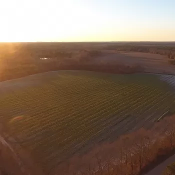 87 +/- Acres - Bulloch County, GA - Akins Pond Farm