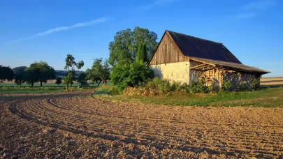 Tutt land Land Investment: A Reliable Hedge Amid 2025 Market Volatility | Land Risk & Reality