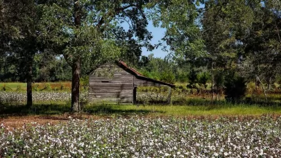 Tutt land What Are Cost-Share Programs? | A First Farm Primer