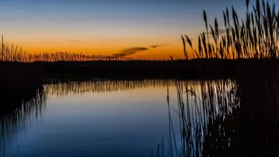 Tutt land A Guide for Buying Hunting Land in Mississippi | Land for the Hunt