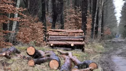 Tutt land Smart Buyers Don’t Walk Away From Wet Ground | Timber & Terrain